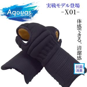 P10倍 期間限定】甲手「Aquas-アクアス-S01」[制菌・消臭] (剣道 こ  