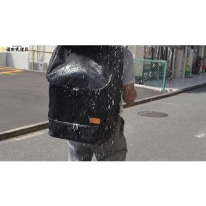 剣道 袋 防具袋 BUDO WING PRO ...の詳細画像3