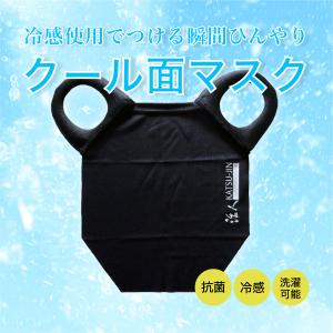剣道 面 マスク 一般大人用 抗菌 面マスク インナー クール面マスク