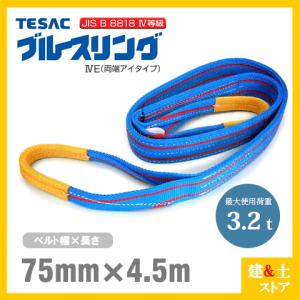 TESAC ブルースリング 75mm×1m(荷重3.2t) JIS4等級 両端アイタイプ