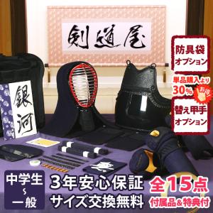 剣道 防具 セット JFP PRO 実戦型 5ミリピッチ刺し「銀河」●印伝風面乳革「金・トンボ」プレゼント（●3年保証書・説明書）