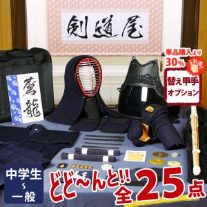 入門フルセット 剣道 防具 セット JFPシンプル 5ミリピッチ刺し「蒼龍」 ●印伝風面乳革「金・トンボ」 ●名彫シール （●3年保証書・説明書）