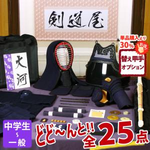 日本拳法防具 日拳防具 日本拳法面8m/m男子用(特大) (日本拳法) N-3