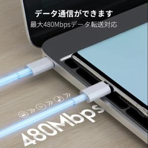 【最大20%OFF】2本セット タイプc ty...の詳細画像4
