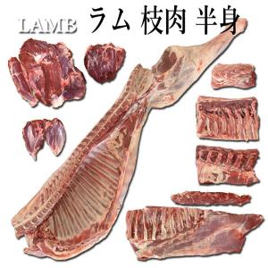 羊肉 ジンギスカン 仔羊 枝肉 半身 片身 骨付き肉 キャンプ 直火焼き ロースト ラム 骨付ラム ラムラック 付 焼肉 お肉