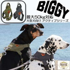 ダイエティクス 犬用 キドニーキープ 3kg 療法食 ドッグフード ドライ