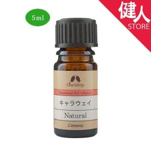 アロマオイル エッセンシャルオイル キャラウェイ スキンケア 基礎化粧品 の商品一覧 コスメ 美容 ヘアケア 通販 Yahoo ショッピング