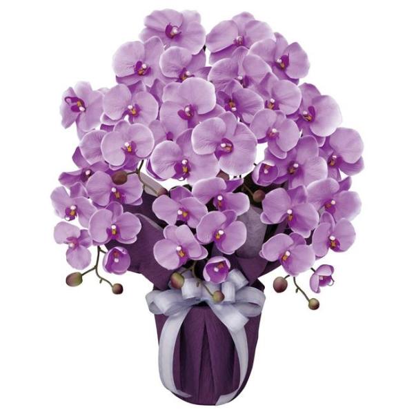 光の楽園(2026年版) エレガント胡蝶蘭Ｌ 品番：453A80 高さ：64cm - アートクリエイ...