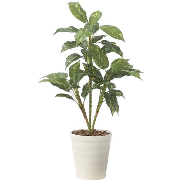 光の楽園(2026年版) フィロ 品番：2490R80 高さ：90cm  - アートクリエイション ...