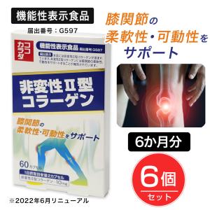 ココカラダ 非変性2型コラーゲン [機能性表示食品] 60カプセル×6個セット - コーワリミテッド [関節/柔軟性]｜kenjin