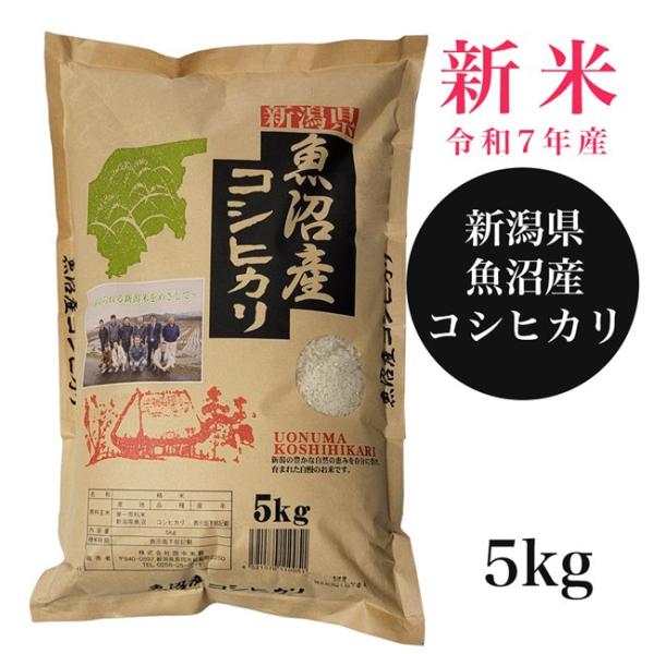 魚沼産コシヒカリ 5kg - 田中米穀 [新米/令和7年産]