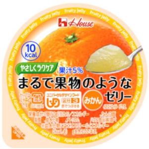 やさしくラクケア　まるで果物のようなゼリー　みかん　60g