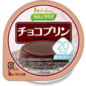 やさしくラクケア　20kcal　プリン　チョコ　1個