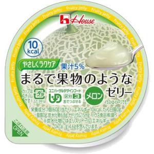 やさしくラクケア まるで果実のようなゼリー メロン 1個
