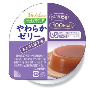 やさしくラクケア　やわらかゼリー　みたらし団子味　66g｜kenjoy