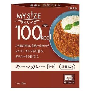 マイサイズ　キーマカレー　１００ｇ