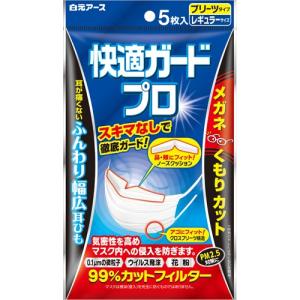 〇快適ガードプロ　プリーツタイプ　レギュラー　5枚