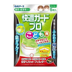 竹虎 N95マスク 折りたたみ立体式 SQ100G 076027 1枚