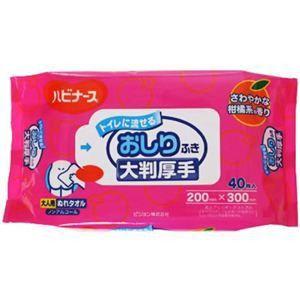 ハビナース　トイレに流せるおしりふき　大判厚手　40枚