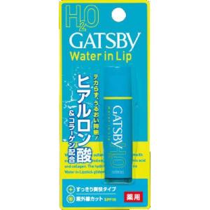 ギャツビー(GATSBY)　薬用　ウォーターインリップ　5g｜kenjoy