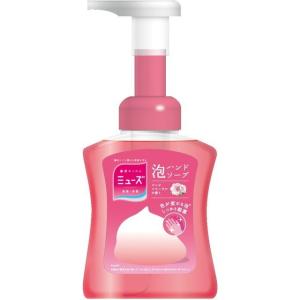 泡ミューズ　泡モイスト　本体　250mL　｜kenjoy