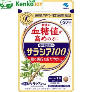 小林製薬のサラシア100(トクホ) 60粒の商品画像