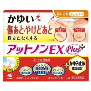 【第2類医薬品】　アットノンＥＸ　かゆみ止めプラス　１０ｇ｜kenjoy