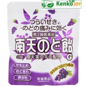 【第3類医薬品】南天のど飴Ｇ　はちみつぶどう風味（パウチ）　22錠【セルフメディケーション税制対象商...
