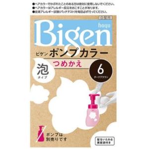 ビゲン　ポンプカラー　つめかえ　６　ダークブラウン　｜kenjoy