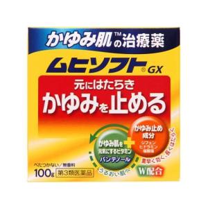 【第3類医薬品】かゆみ肌の治療薬　ムヒソフトGX　100g【セルフメディケーション税制対象商品】｜kenjoy