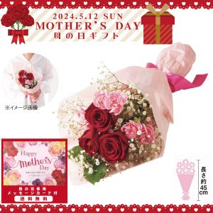2024年母の日　母の日　バラとスプレーカーネーションの花束（メーカー直送品・常温便）(母の日限定　メッセージカード付き　お礼）｜kenjya-gift