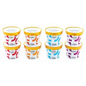 送料無料　お中元おすすめ商品　ガレープレミアムアイスクリーム8個セット（メーカー直送品・冷凍便）゛｜kenjya-gift