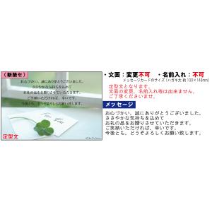 無料 新築内祝い用メッセージカード (当店でお...の詳細画像5