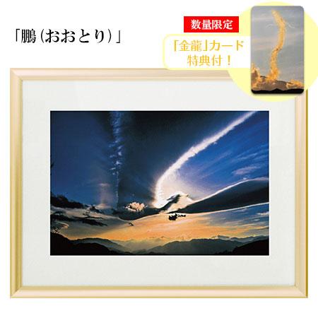 秋元隆良 奇跡の写真 鵬 おおとり 金龍カード 特典付 銀塩生写真 開運グッズ 運気 アップ
