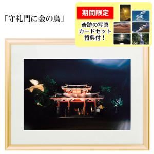 秋元隆良 奇跡の写真 守礼門に金の鳥 金龍カード 特典付