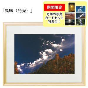 秋元隆良 奇跡の写真 鳳凰 発光 金龍カード 特典付 代引き不可