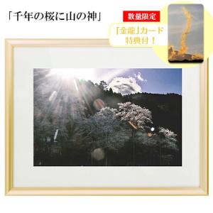 秋元隆良 奇跡の写真 千年の桜に山の神 金龍カード 特典付 銀塩生写真 開運グッズ 運気 アップ