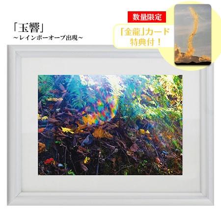 秋元隆良 奇跡の写真 2L版 玉響 レインボーオーブ出現 金龍カード 特典付 銀塩生写真 開運グッズ...