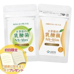 アルタイのNS乳酸菌3袋セット アルタイのNS乳酸菌「新NS-Dx」 : エスエーアイ アイストア