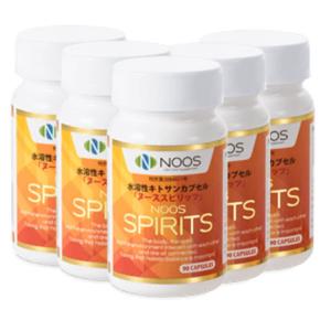 正規販売店 水溶性キトサンカプセル ヌース スピリッツ 90粒 5本セット 13％OFF