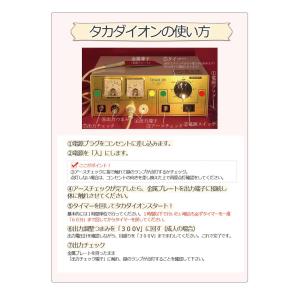 還元電子治療器 タカダイオン TK-2211の詳細画像3