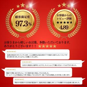 範多機械 アスファルトスプレイヤー CS-P3...の詳細画像2
