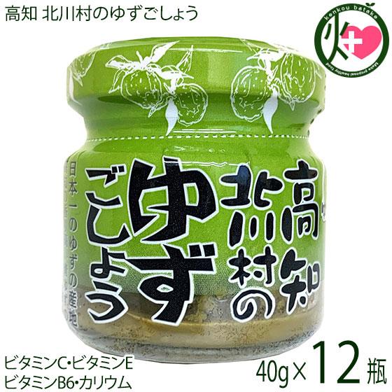 高知 北川村のゆずごしょう 40g×12本 北川村ゆず王国 ゆずこしょう 柚子胡椒 万能調味料