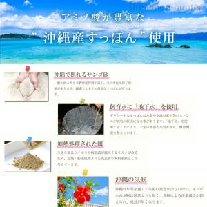 琉球美すっぽんぜりー ハイビスカス風味 10本...の詳細画像3