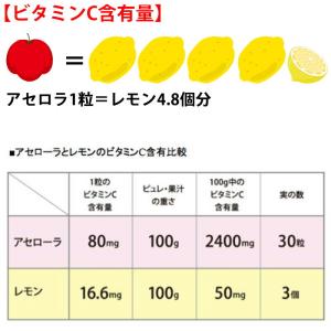 アセローラシロップ 1000ml×6本 アセロ...の詳細画像2
