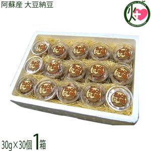 阿蘇産 大豆納豆 (30g×30個)×1箱 阿蘇おふくろ工房 熊本県