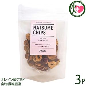 HASSEN ノンフライなつめチップス 25g×3P カルナ アメリカUSDA EUオーガニック認証を取得品質 ドライフルーツ オレイン酸アミド 食物繊維豊富