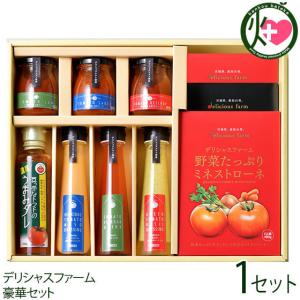 ギフト デリシャスファーム 農園ベストセレクション トマト使用 カレー ミネストローネ 調味料 宮城県 土産 ギフト 贈答用 条件付き