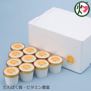 ひまわりアイスクリーム 130ml×10個セット 南光ひまわり館 兵庫県 土産 人気 手作り アイス ひまわりの種入り たんぱく質 ビタミン豊富