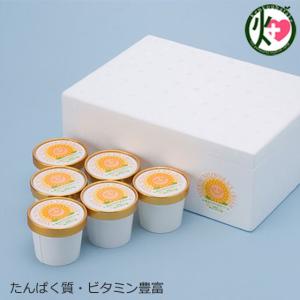 ひまわりアイスクリーム 130ml×6個セット 南光ひまわり館 兵庫県 土産 人気 手作り アイス ひまわりの種入り たんぱく質 ビタミン豊富